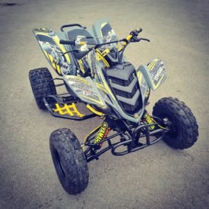 Yamaha Banshee 350 Custom Exclusive Bike Unique